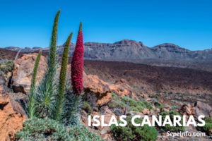 Islas Canarias