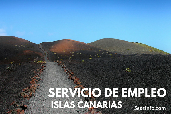 portal de empleo Islas Canarias 