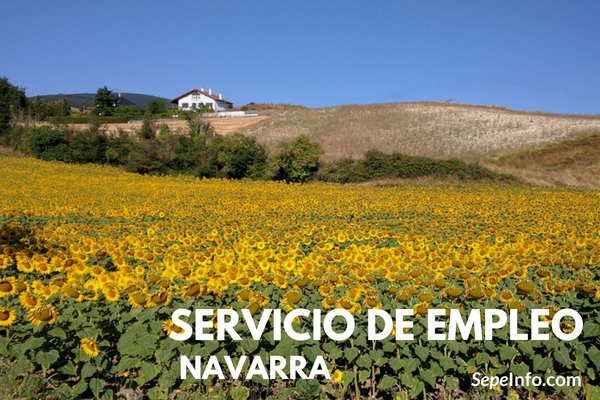 portal de empleo Navarra 