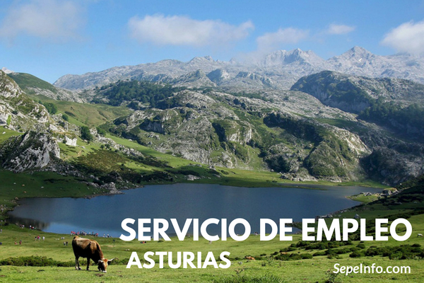 Portal de Empleo del Principado de Asturias